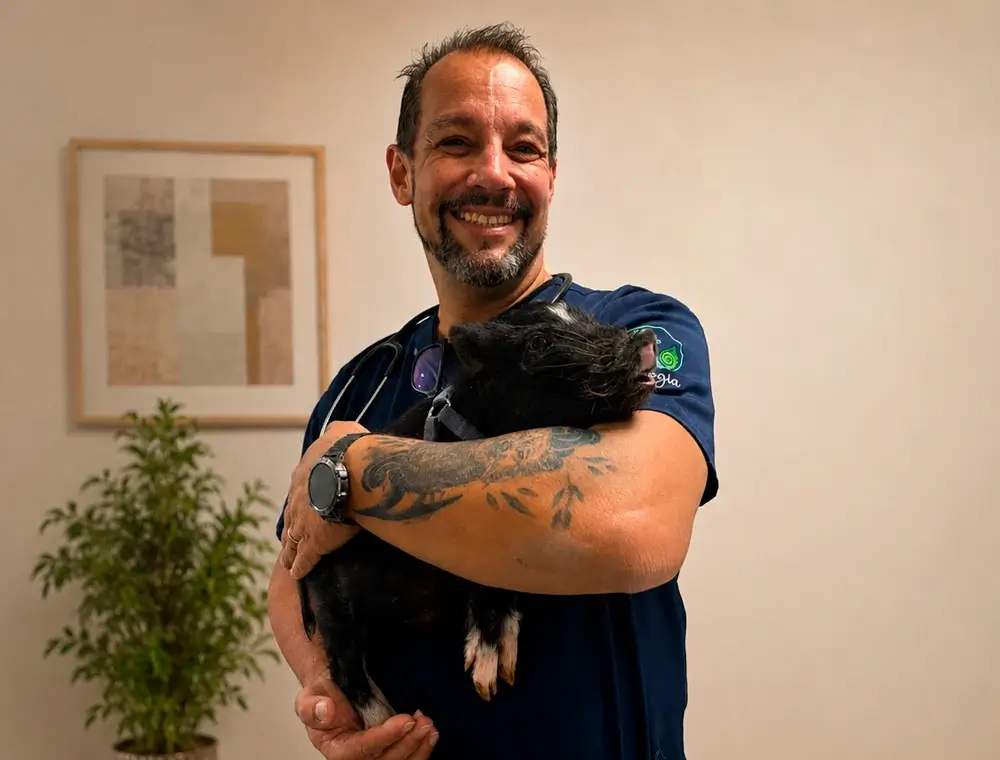 Consultas veterinárias